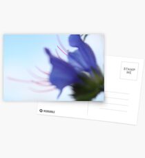 Blur Postcards