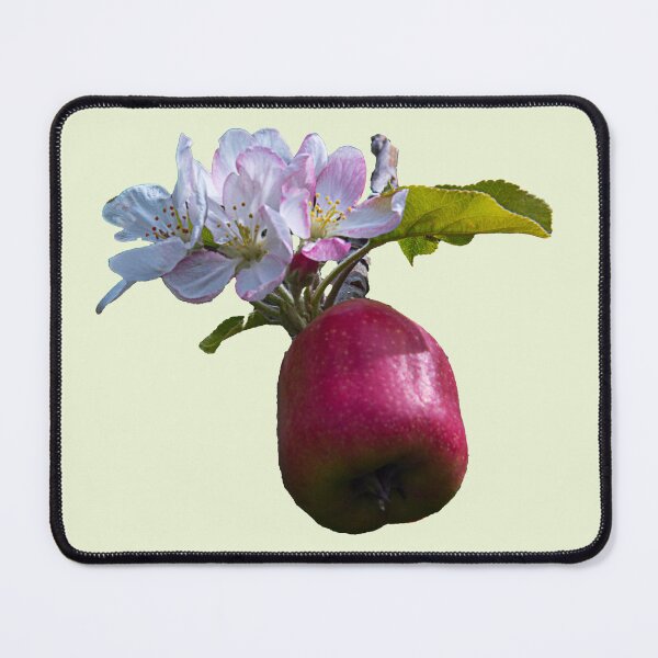 Item preview, From flower to fruit, Pink Lady Apple designed and sold by indiafrankk.