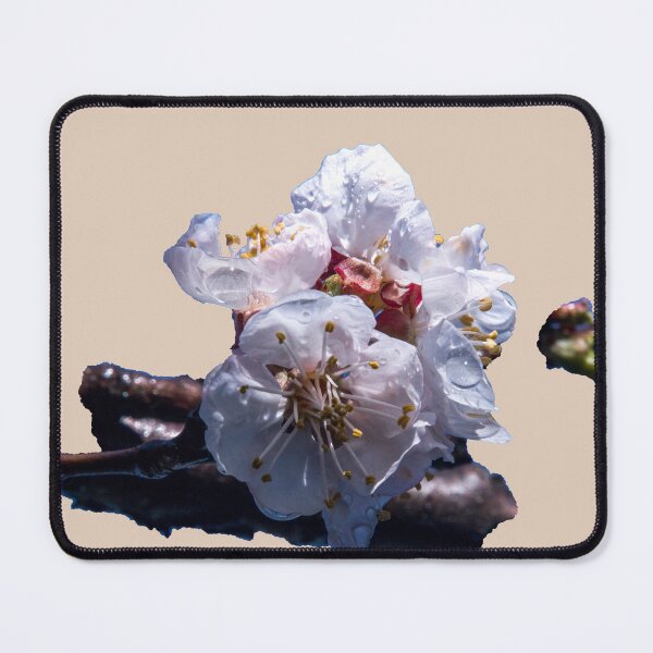 Item preview, Apricot blossom designed and sold by indiafrankk.