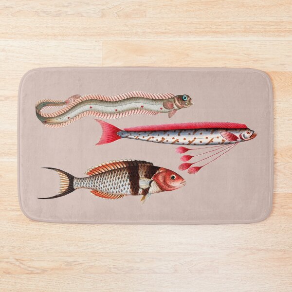 Item preview, Vintage fish illustrations - Band-fish, The Hawken's Fish & Double-streaked Wrasse by Marcus Elieser Bloch - digitally enhanced designed and sold by Corinne Alexa Jackson.
