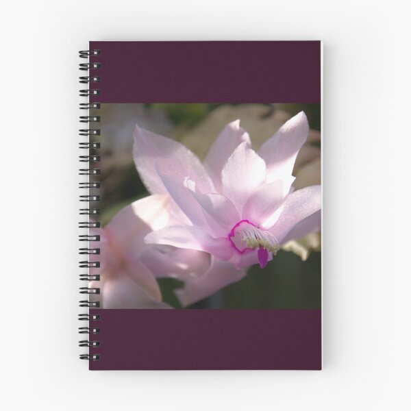 Item preview, Catching the sun, cymbidium orchid designed and sold by indiafrankk.