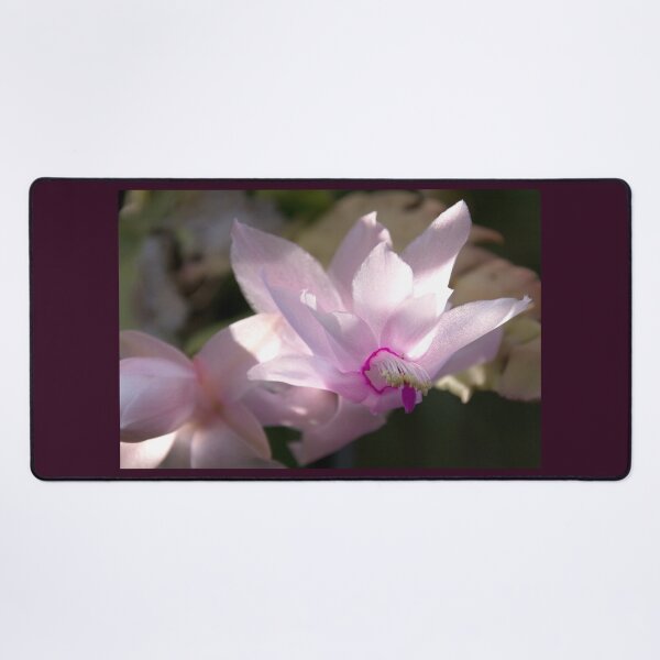 Item preview, Catching the sun, cymbidium orchid designed and sold by indiafrankk.