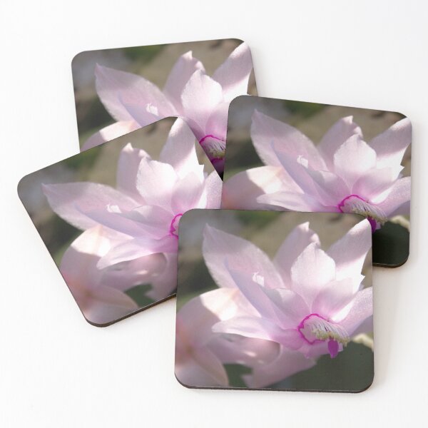 Item preview, Catching the sun, cymbidium orchid designed and sold by indiafrankk.