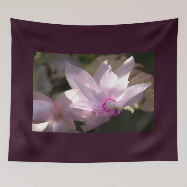 Item preview, Catching the sun, cymbidium orchid designed and sold by indiafrankk.