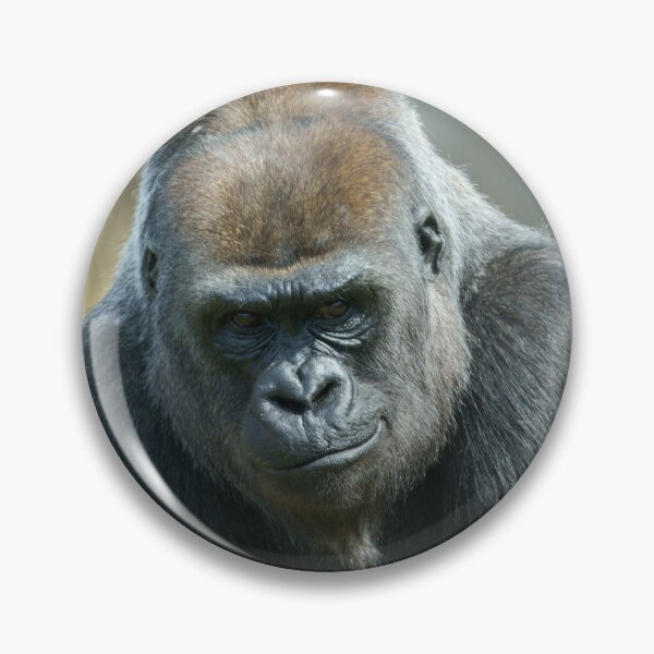 Artikelvorschau, Gorilla Ozala entworfen und verkauft von rawshutterbug.