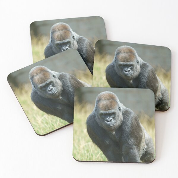 Item preview, Gorilla Ozala designed and sold by rawshutterbug.