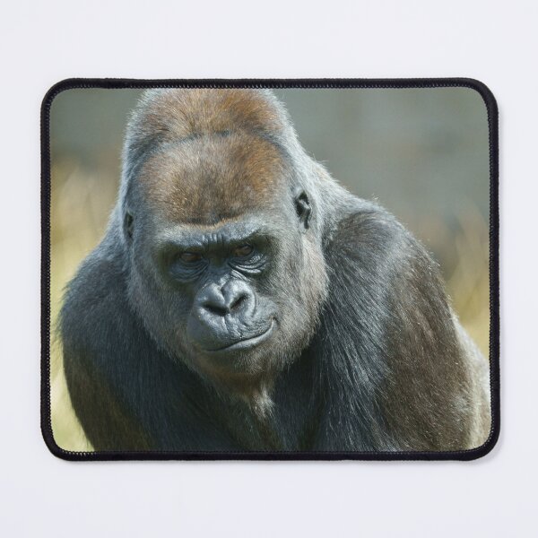 Item preview, Gorilla Ozala designed and sold by rawshutterbug.