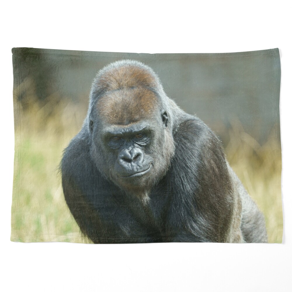 Gorilla blanket cheap