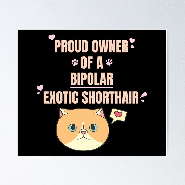 Item preview, Proud Owner of a Bipolar Exotic Shorthair Ver 1 designed and sold by thecatcouch.