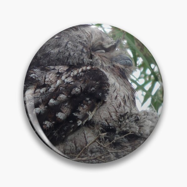 Item preview, Tawny Frogmouth (Podargus strigoides) and Chicks designed and sold by Marilyn Harris.
