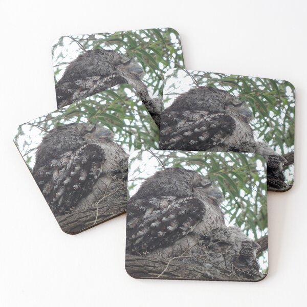 Item preview, Tawny Frogmouth (Podargus strigoides) and Chicks designed and sold by Marilyn Harris.