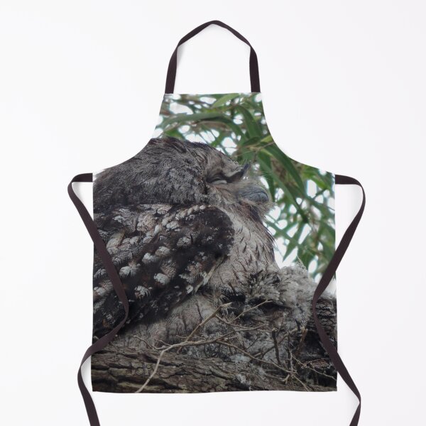 Item preview, Tawny Frogmouth (Podargus strigoides) and Chicks designed and sold by Marilyn Harris.