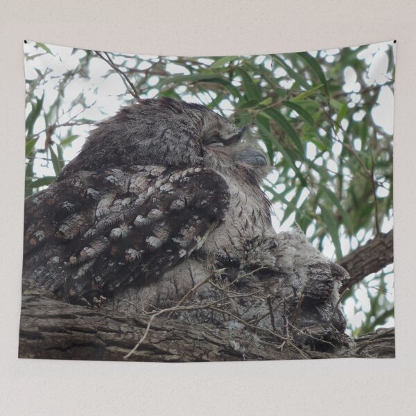 Item preview, Tawny Frogmouth (Podargus strigoides) and Chicks designed and sold by Marilyn Harris.