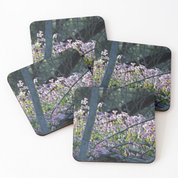 Item preview, Wild Paper Daisies - Pelham Lookout, Toodyay, Western Australia designed and sold by Marilyn Harris.