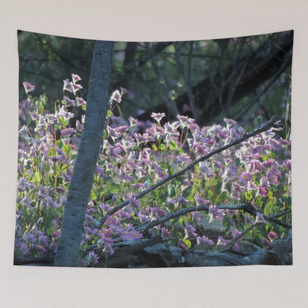 Item preview, Wild Paper Daisies - Pelham Lookout, Toodyay, Western Australia designed and sold by Marilyn Harris.
