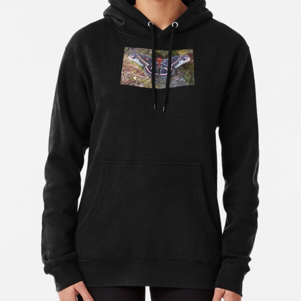"Cecropia Moth #2" Pullover Hoodie