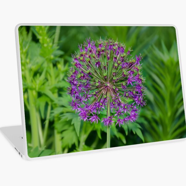 Spiky Orb Laptop Skin