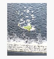 Different photograph of a River Photographic Print