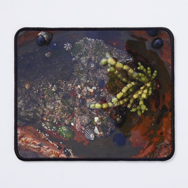 Item preview, Rock Pool designed and sold by KazM.