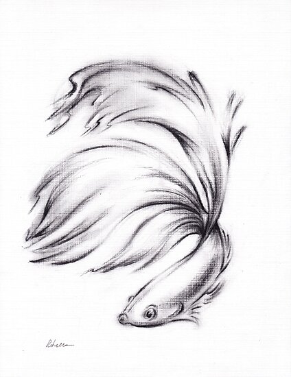 Betta Charcoal Pencil Drawing Of A Siamese Fighting Fish Poster