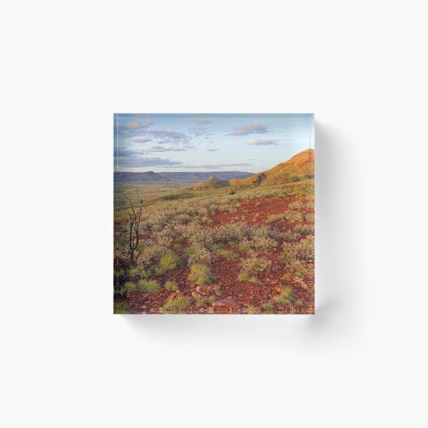 Item preview, Out in the Pilbara designed and sold by Harry Oldmeadow.