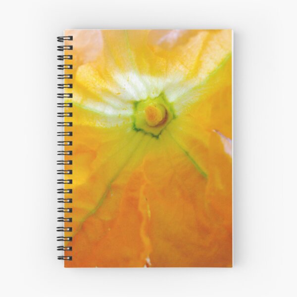 Item preview, Dazzling designed and sold by lucielitchi.