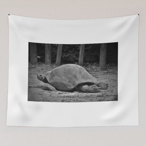 Item preview, Tortoise Relaxing designed and sold by Cynthia48.