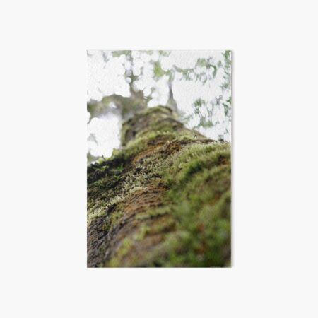 Symbiotic in Rainforest Art Board Print