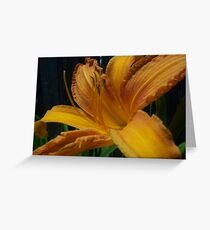 Lily Greeting Card
