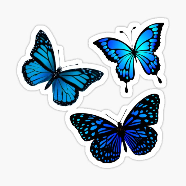 Beautiful Blue Butterfly Gifts & Merchandise for Sale