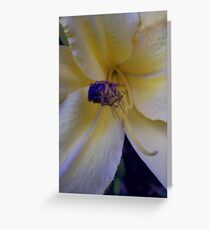Playful Greeting Card
