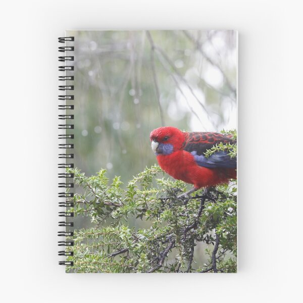 Item preview, Colors in the rain designed and sold by eyes4nature.