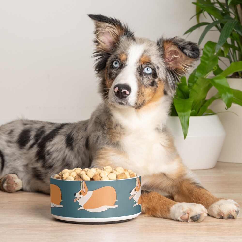 Corgibean Pet Bowl