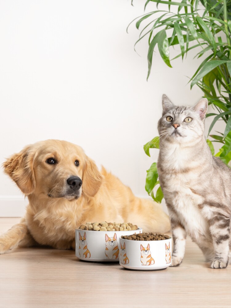 Alternate view of CorgiSmile Pet Bowl