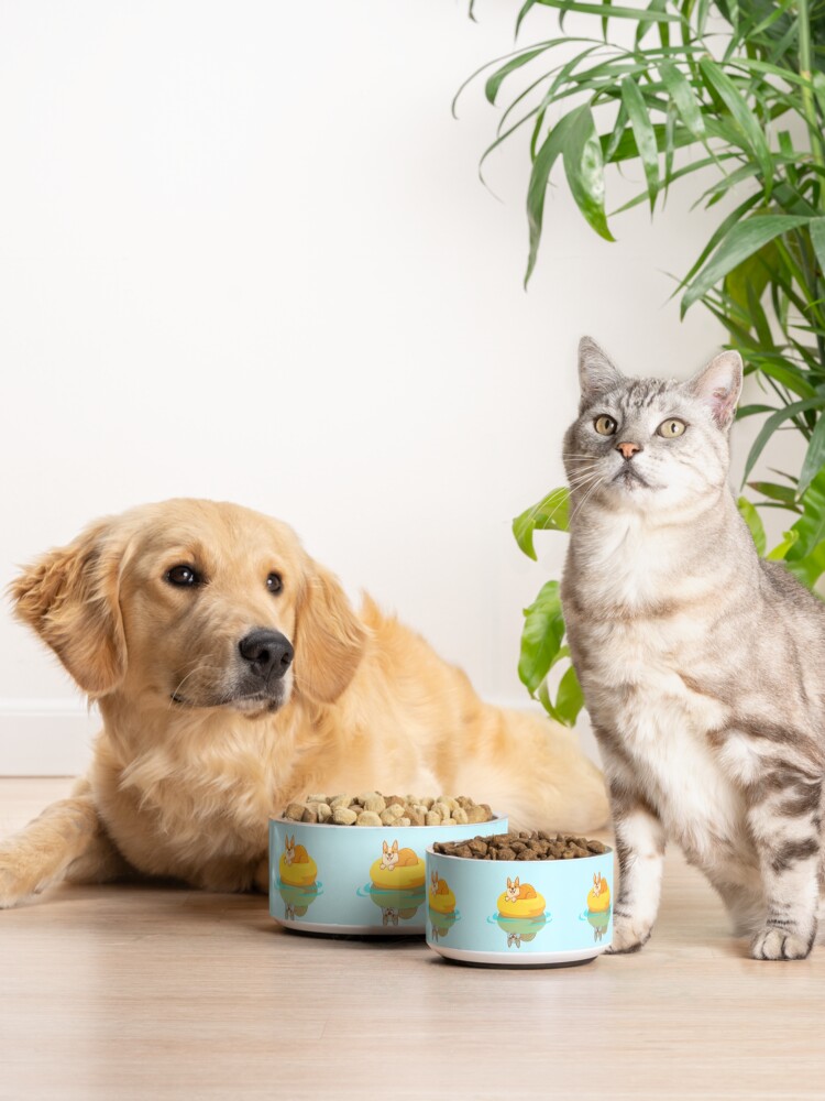 Alternate view of Summer Corgi Pet Bowl