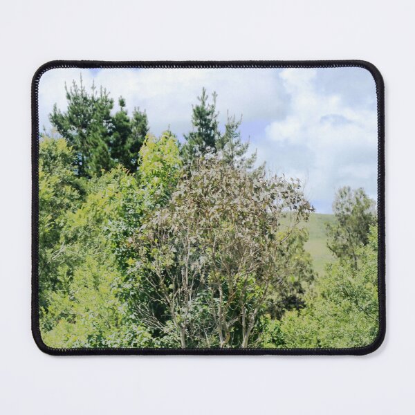 Item preview, untitled designed and sold by Jodie Cooper.