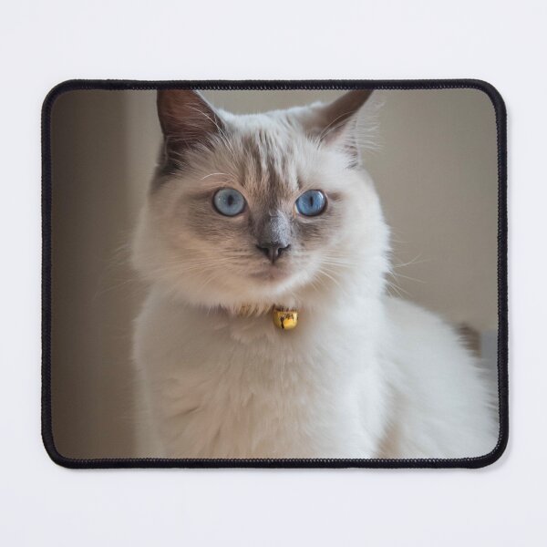 Item preview, Rag Doll cat designed and sold by Kevin Hellon.