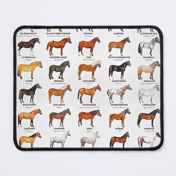 Aperçu de l'œuvre Races de chevaux du monde créée et vendue par clothingart8.