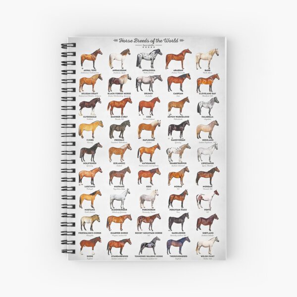 Aperçu de l'œuvre Races de chevaux du monde créée et vendue par clothingart8.