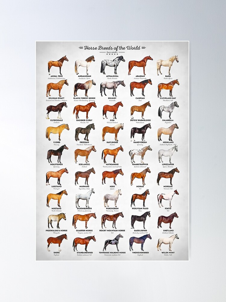 Horses of the World Poster -  Portugal