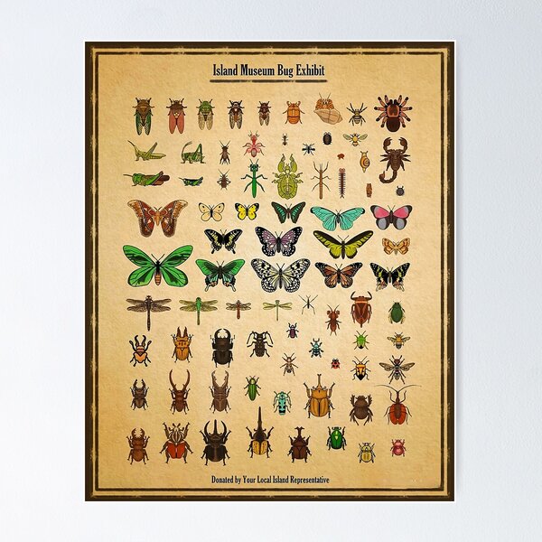 Item preview, Island Museum Bug Exhibit designed and sold by clothingart8.