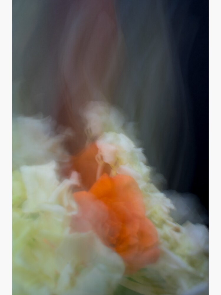 Fleur Blur-Abstract Orange Rose & White Flowers by AhUmDesign