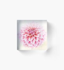 Dahlia 2 Acrylic Block
