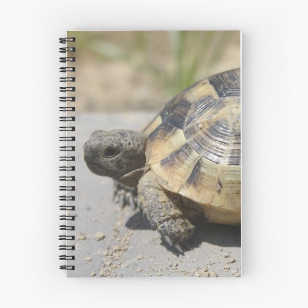 Item preview, Side View of A Young Wild Tortoise Close Up Photography designed and sold by taiche.