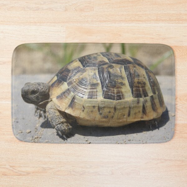 Item preview, Side View of A Young Wild Tortoise Close Up Photography designed and sold by taiche.