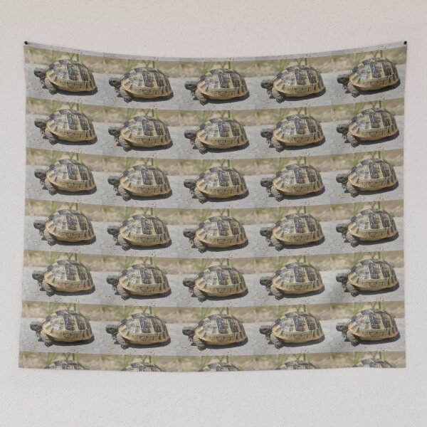 Item preview, Side View of A Young Wild Tortoise Close Up Photography designed and sold by taiche.