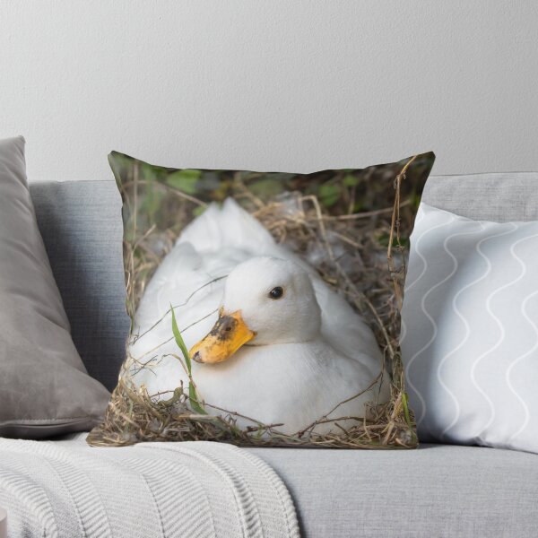 Item preview, White Call Duck Sitting on Eggs in Her Nest designed and sold by JJVXPHOTOGRAPHY.
