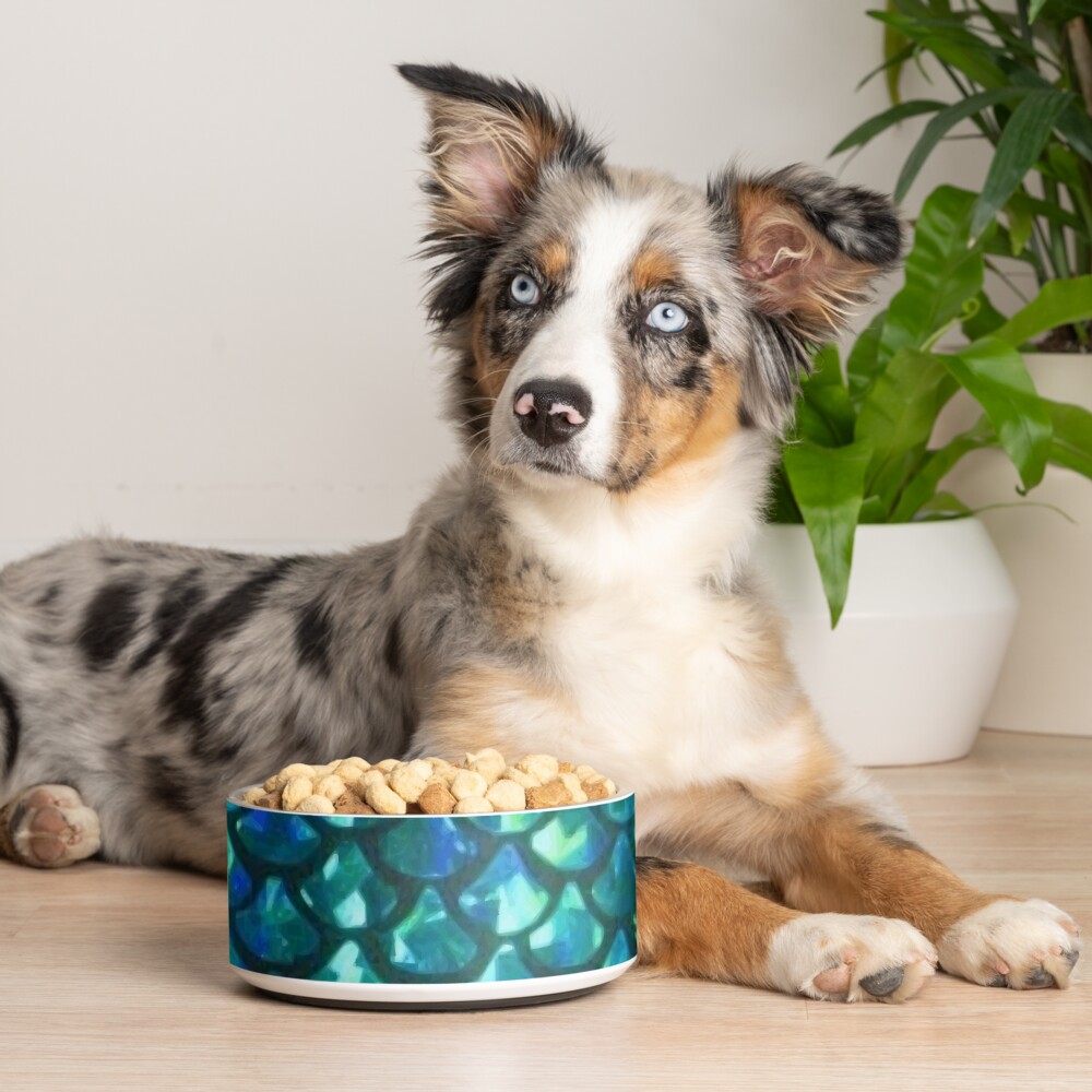 Item preview, Pet Bowl designed and sold by rapplatt.
