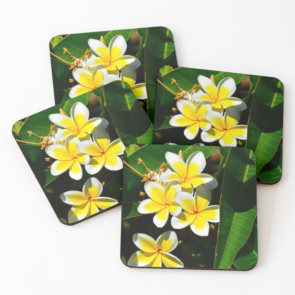 Item preview, greek flowers | travel photography designed and sold by Mii-pics.