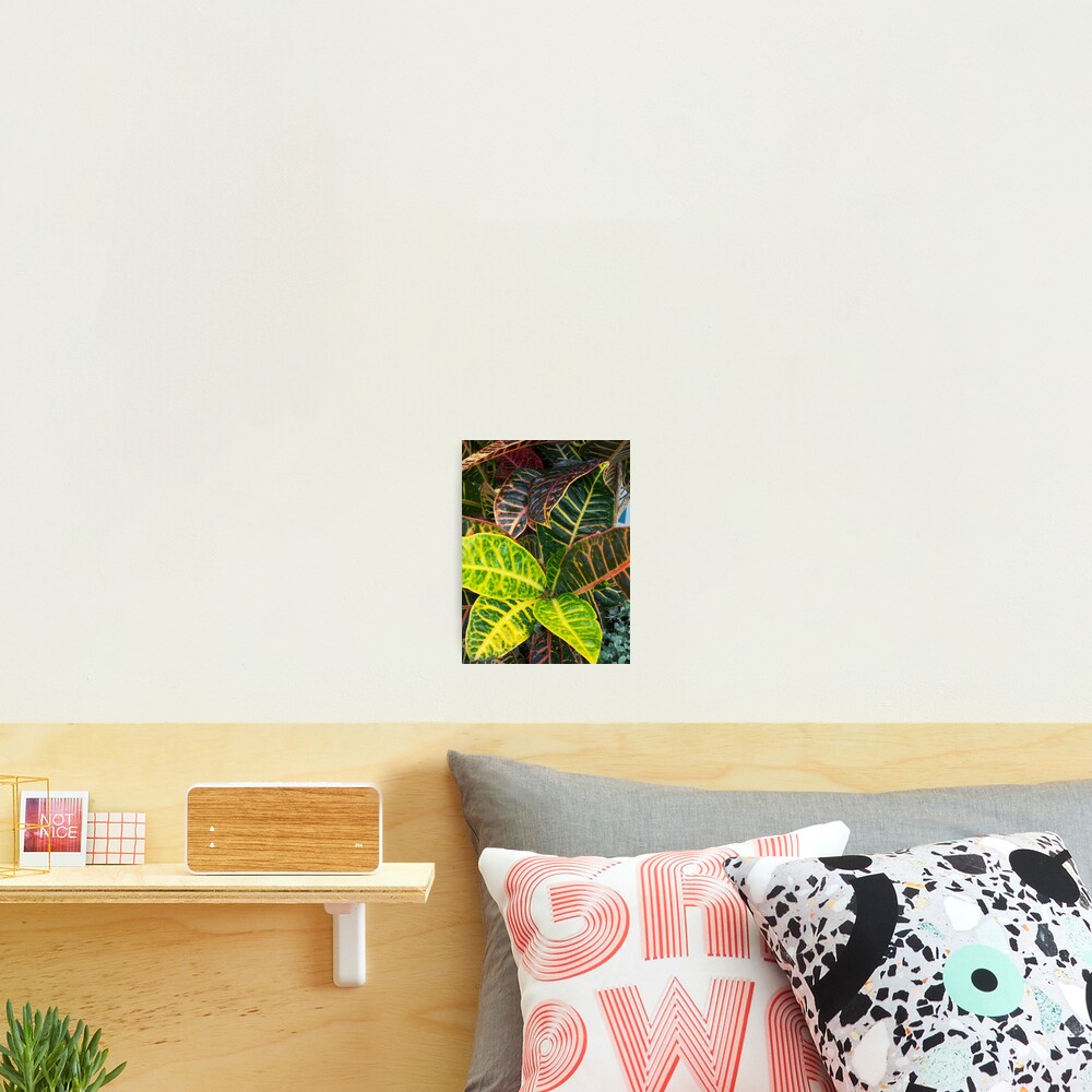 Item preview, Photographic Print designed and sold by RaveNLee.